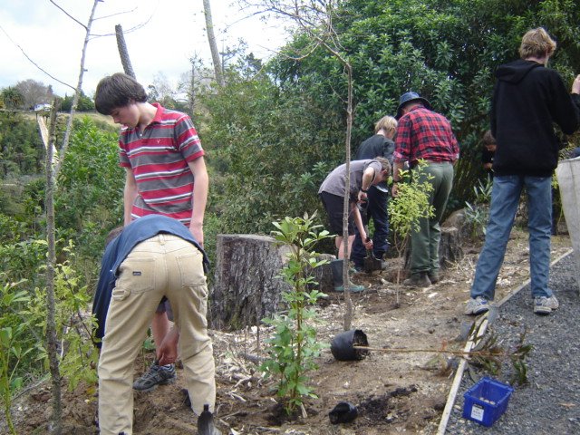 LSP- the beginning, 2008-11 Cambridge Tree Trust